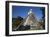 Tikal temple 1, Pre-Columbian Maya civilisation, Tikal, UNESCO World Heritage Site, Guatemala-Peter Groenendijk-Framed Photographic Print