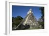 Tikal temple 1, Pre-Columbian Maya civilisation, Tikal, UNESCO World Heritage Site, Guatemala-Peter Groenendijk-Framed Photographic Print