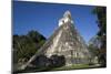 Tikal temple 1, Pre-Columbian Maya civilisation, Tikal, UNESCO World Heritage Site, Guatemala-Peter Groenendijk-Mounted Photographic Print