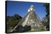 Tikal temple 1, Pre-Columbian Maya civilisation, Tikal, UNESCO World Heritage Site, Guatemala-Peter Groenendijk-Stretched Canvas