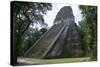 Tikal Temple 5, pre-Colombian Maya civilisation, Tikal, UNESCO World Heritage Site, Guatemala-Peter Groenendijk-Stretched Canvas