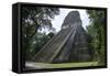 Tikal Temple 5, pre-Colombian Maya civilisation, Tikal, UNESCO World Heritage Site, Guatemala-Peter Groenendijk-Framed Stretched Canvas