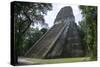 Tikal Temple 5, pre-Colombian Maya civilisation, Tikal, UNESCO World Heritage Site, Guatemala-Peter Groenendijk-Stretched Canvas