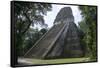 Tikal Temple 5, pre-Colombian Maya civilisation, Tikal, UNESCO World Heritage Site, Guatemala-Peter Groenendijk-Framed Stretched Canvas