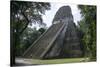 Tikal Temple 5, pre-Colombian Maya civilisation, Tikal, UNESCO World Heritage Site, Guatemala-Peter Groenendijk-Stretched Canvas