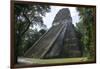 Tikal Temple 5, pre-Colombian Maya civilisation, Tikal, UNESCO World Heritage Site, Guatemala-Peter Groenendijk-Framed Photographic Print