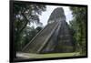 Tikal Temple 5, pre-Colombian Maya civilisation, Tikal, UNESCO World Heritage Site, Guatemala-Peter Groenendijk-Framed Photographic Print