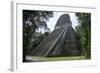 Tikal Temple 5, pre-Colombian Maya civilisation, Tikal, UNESCO World Heritage Site, Guatemala-Peter Groenendijk-Framed Photographic Print