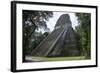 Tikal Temple 5, pre-Colombian Maya civilisation, Tikal, UNESCO World Heritage Site, Guatemala-Peter Groenendijk-Framed Photographic Print