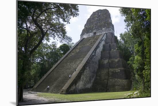 Tikal Temple 5, pre-Colombian Maya civilisation, Tikal, UNESCO World Heritage Site, Guatemala-Peter Groenendijk-Mounted Photographic Print