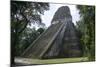 Tikal Temple 5, pre-Colombian Maya civilisation, Tikal, UNESCO World Heritage Site, Guatemala-Peter Groenendijk-Mounted Photographic Print