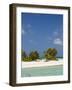 Tikehau, Tuamotu Archipelago, French Polynesia Islands-Sergio Pitamitz-Framed Photographic Print