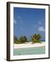 Tikehau, Tuamotu Archipelago, French Polynesia Islands-Sergio Pitamitz-Framed Photographic Print