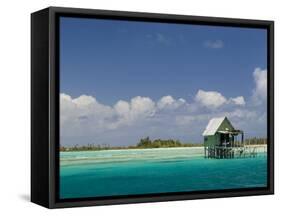 Tikehau, Tuamotu Archipelago, French Polynesia, Pacific Islands, Pacific-Sergio Pitamitz-Framed Stretched Canvas