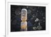 Tiki at Pu'uhonua O Honaunau National Historic Park, City of Refuge, Kona Coast, Hawaii, USA-Russ Bishop-Framed Photographic Print