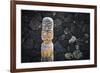 Tiki at Pu'uhonua O Honaunau National Historic Park, City of Refuge, Kona Coast, Hawaii, USA-Russ Bishop-Framed Photographic Print