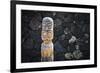 Tiki at Pu'uhonua O Honaunau National Historic Park, City of Refuge, Kona Coast, Hawaii, USA-Russ Bishop-Framed Photographic Print