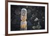 Tiki at Pu'uhonua O Honaunau National Historic Park, City of Refuge, Kona Coast, Hawaii, USA-Russ Bishop-Framed Premium Photographic Print