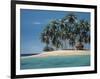 Tiki Time-Ron Peters-Framed Giclee Print