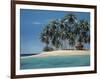 Tiki Time-Ron Peters-Framed Giclee Print