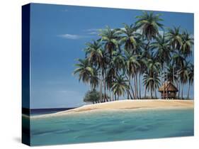 Tiki Time-Ron Peters-Stretched Canvas