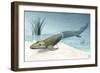 Tiktaalik Prehistoric Fish, Artwork-National Science Foundation-Framed Photographic Print