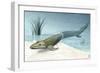 Tiktaalik Prehistoric Fish, Artwork-National Science Foundation-Framed Photographic Print