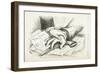 Tilden or Blood, 1877-Thomas Nast-Framed Giclee Print