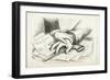 Tilden or Blood, 1877-Thomas Nast-Framed Giclee Print