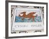 Tile Mosaic of Welsh Crest at Millennium Stadium, Cardiff City, Wales, United Kingdom, Europe-Richard Cummins-Framed Photographic Print