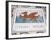 Tile Mosaic of Welsh Crest at Millennium Stadium, Cardiff City, Wales, United Kingdom, Europe-Richard Cummins-Framed Photographic Print