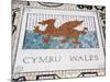 Tile Mosaic of Welsh Crest at Millennium Stadium, Cardiff City, Wales, United Kingdom, Europe-Richard Cummins-Mounted Photographic Print