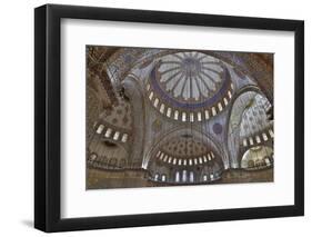 Tile Work in the Blue Mosque, Istanbul Old City, Turkey-Darrell Gulin-Framed Photographic Print