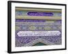 Tiled Exterior of the Imam Hussein Iranian Mosque, Bur Dubai, Dubai, UAE-Walter Bibikow-Framed Photographic Print