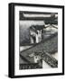 Tiled roof in Xidi, China-Yang Liu-Framed Photographic Print