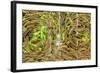 Tiles Stacked for Waterfall, Nanfeng Kiln, Oldest in China, Foshan, China-Stuart Westmorland-Framed Photographic Print