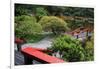 Tilford Gardens and Park, Vancouver, British Columbia, Canada, North America-Richard Cummins-Framed Photographic Print