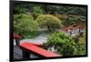 Tilford Gardens and Park, Vancouver, British Columbia, Canada, North America-Richard Cummins-Framed Photographic Print