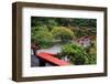 Tilford Gardens and Park, Vancouver, British Columbia, Canada, North America-Richard Cummins-Framed Photographic Print