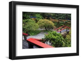 Tilford Gardens and Park, Vancouver, British Columbia, Canada, North America-Richard Cummins-Framed Photographic Print