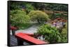 Tilford Gardens and Park, Vancouver, British Columbia, Canada, North America-Richard Cummins-Framed Stretched Canvas