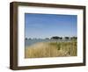 Tilghman Island, Talbot County, Chesapeake Bay Area, Maryland, USA-Robert Harding-Framed Photographic Print