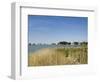 Tilghman Island, Talbot County, Chesapeake Bay Area, Maryland, USA-Robert Harding-Framed Photographic Print