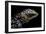 Tiliqua (Trachydosaurus) Rugosa (Shingleback Skink)-Paul Starosta-Framed Photographic Print