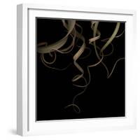 Tillandsia 1 - Air Plant-Doris Mitsch-Framed Photographic Print