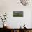 Tilled fields, Morocco-Art Wolfe-Stretched Canvas displayed on a wall