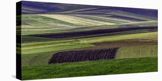 Tilled fields, Morocco-Art Wolfe-Stretched Canvas