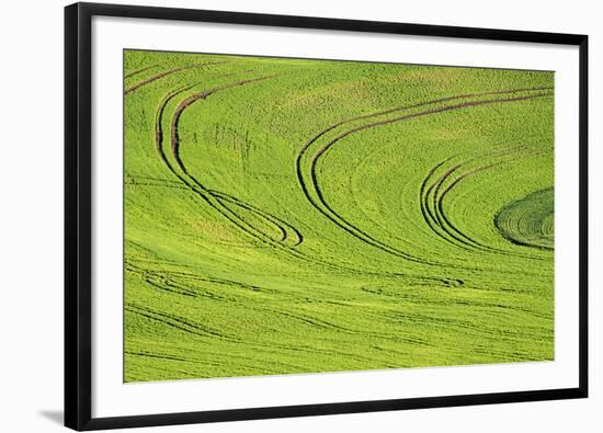 Tilling Pattern in Rolling Hills of Wheat-Terry Eggers-Framed Photographic Print
