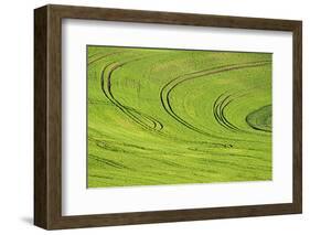 Tilling Pattern in Rolling Hills of Wheat-Terry Eggers-Framed Photographic Print