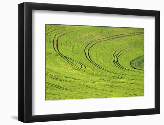 Tilling Pattern in Rolling Hills of Wheat-Terry Eggers-Framed Photographic Print